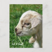 やめさせる ポストカード (正面)