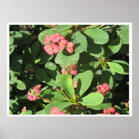 やめろ！ポスター ポスター (正面)