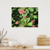 やめろ！ポスター ポスター (キッチン)