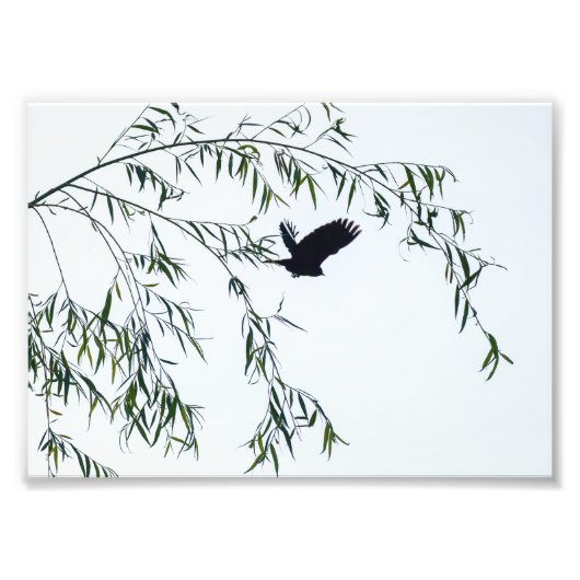 やめ離れ フォトプリント            (正面)