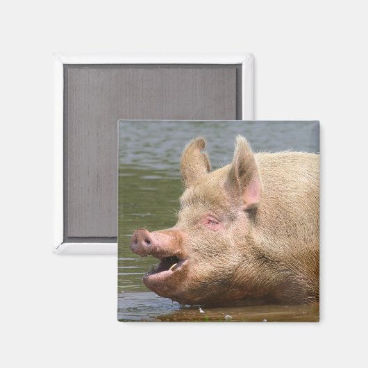 やめ食べろ!!! マグネット (正面/裏面)