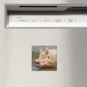 やめ食べろ!!! マグネット (インサイチュ (食洗機))