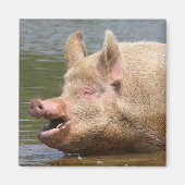 やめ食べろ!!! マグネット (正面)