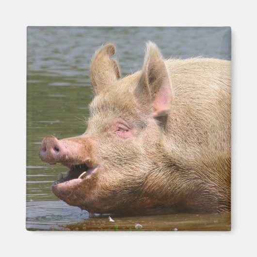 やめ食べろ!!! マグネット (正面)