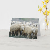 やるな違う!シープドッグことわざ... カード (黄色い花)