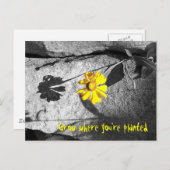 「やる気を起こさせるあなたは植えた場所で育てる」はがき ポストカード (正面/裏面)