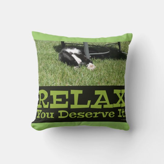 やる気を起こさせるリラックス猫エピックスローガン クッション (正面)