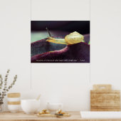 やる気を起こさせる引用文粘り強さ ポスター (キッチン)