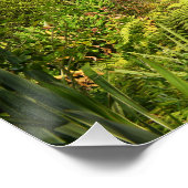 やる気を起こさせる引用文 – シントラポルトガル ポスター (コーナー)