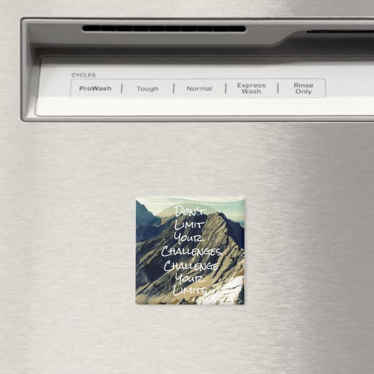 やる気を起こさせる引用文:限界に挑戦 マグネット (インサイチュ (食洗機))