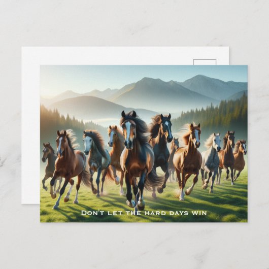 やる気を起こさせる感動的 ポストカード (正面/裏面)