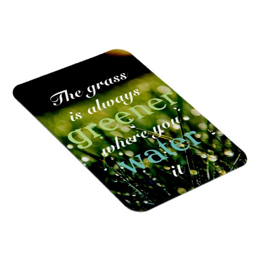 やる気を起こさせる|水の入った場所で草は緑 マグネット (右側)