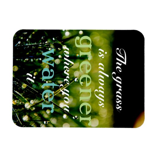 やる気を起こさせる|水の入った場所で草は緑 マグネット (横)