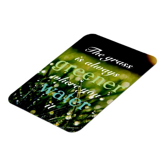 やる気を起こさせる|水の入った場所で草は緑 マグネット (左側)