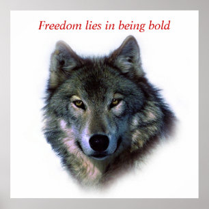 やる気を起こさせるCourse Freedom Wolf Eyes ポスター