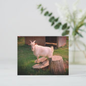 やれやれ ポストカード (スタンド正面)