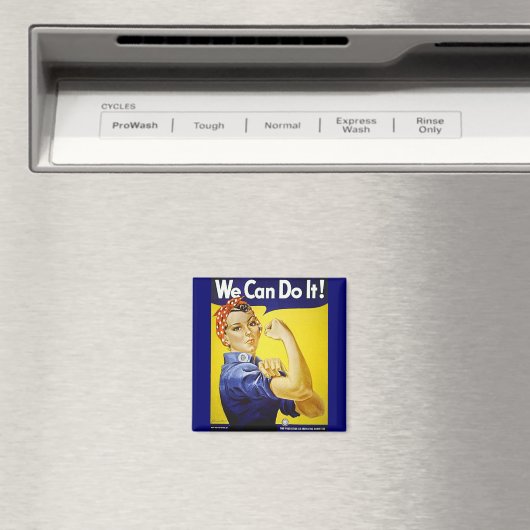 やれる！ マグネット (インサイチュ (食洗機))