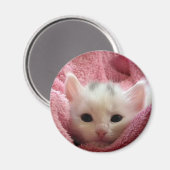 やわらかい子猫 マグネット (正面/裏面)