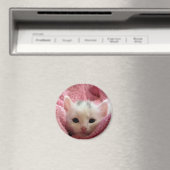 やわらかい子猫 マグネット (インサイチュ (食洗機))