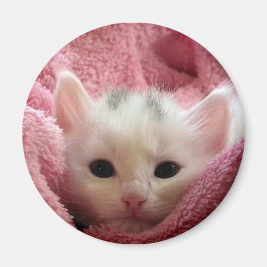 やわらかい子猫 マグネット (正面)