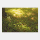 やわらかなひかり ラッピングペーパーシート (正面3)