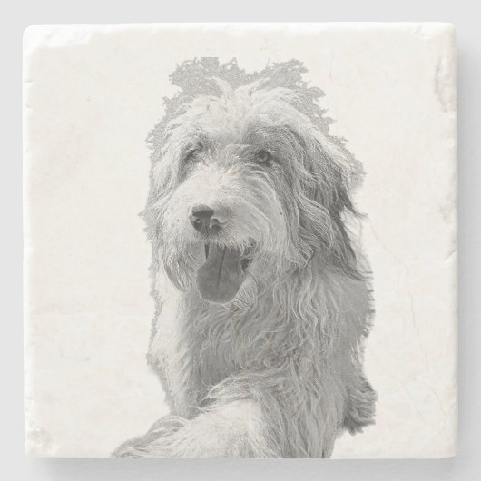 やわらかなまなざし、しっかりとした存在感 - モノクロの犬の肖像画 ストーンコースター (正面)