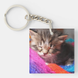 やわらかな眠る新生児の子猫の写真 キーホルダー