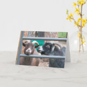 やんちゃなヤギだ! カード (黄色い花)