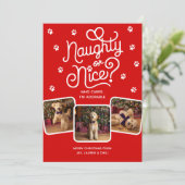 やんちゃ？それとも良い子？面白い可愛いペット犬猫3枚写真 シーズンカード (スタンド正面)