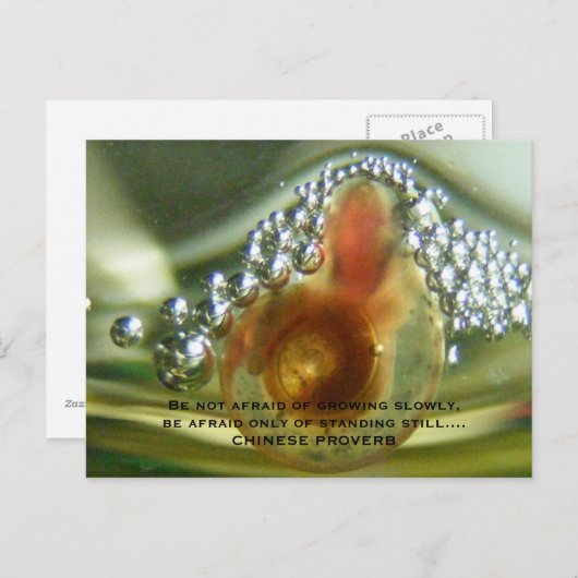 ゆっくり成長を恐れていないで下さいあないで下さい、…あって下さい ポストカード (正面/裏面)