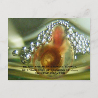 ゆっくり成長を恐れていないで下さいあないで下さい、…あって下さい ポストカード