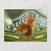 ゆっくり成長を恐れていないで下さいあないで下さい、…あって下さい ポストカード (正面)