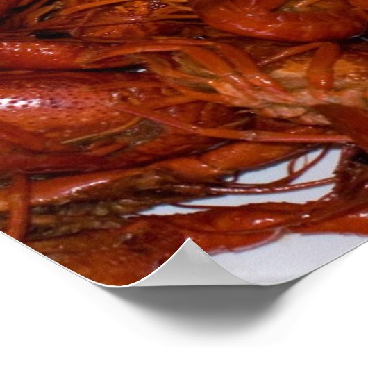 ゆでたザラ ポスター (角)