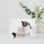 ゆりかごの猫ポストカードをコルキー ポストカード (スタンド正面)