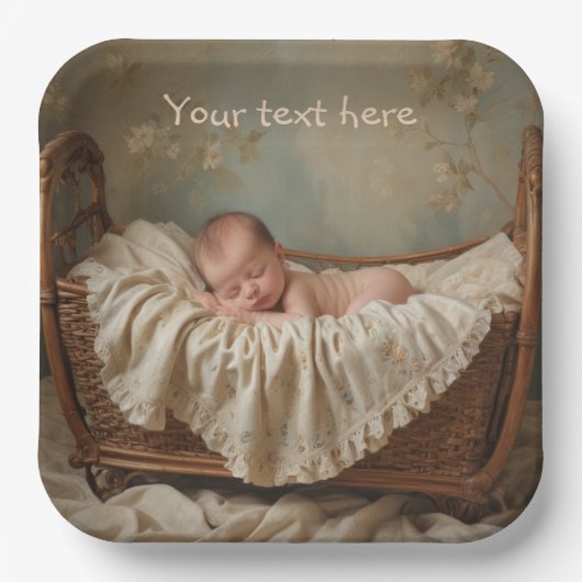 ゆりかごの赤ちゃん ペーパープレート (正面)