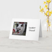 よいバースデー・カードを見るボストンテリア カード (黄色い花)