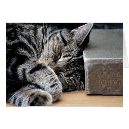 よいブックカードとカールする猫