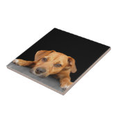 よい犬 タイル (側面)