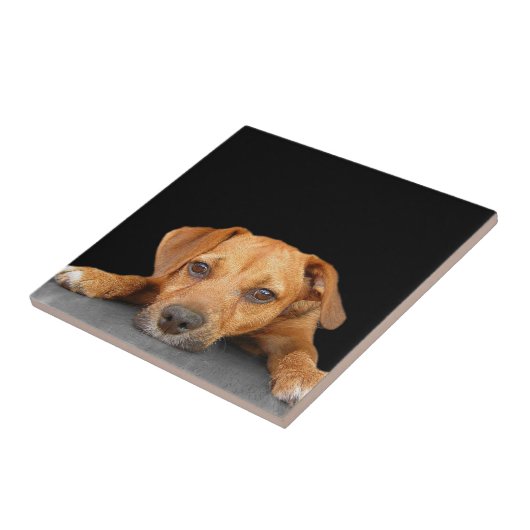 よい犬 タイル (側面)