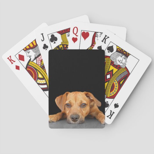 よい犬 トランプ (裏面)