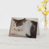 よい猫は悪い日を過すことができます! カード (黄色い花)