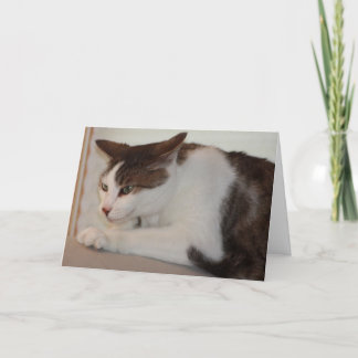 よい猫は悪い日を過すことができます! カード