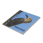 ようこそギラウッドペッカー写真南西バード タイル (側面)