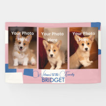 ようこそホーム新しい子犬、子犬のシャワー