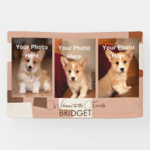 ようこそホーム新しい子犬、子犬のシャワー