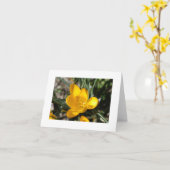 ようこそ春 カード (黄色い花)