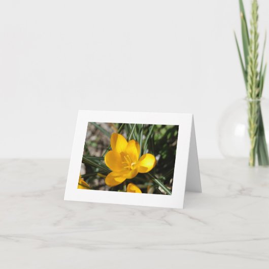 ようこそ春 カード (正面)