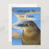 ようこそ私たちのキャビンBlackbird写真野生動物 ポストカード (正面/裏面)