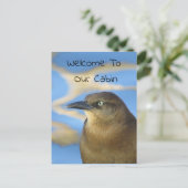 ようこそ私たちのキャビンBlackbird写真野生動物 ポストカード (スタンド正面)