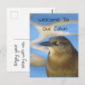 ようこそ私たちのキャビンBlackbird写真野生動物 ポストカード (正面/裏面)